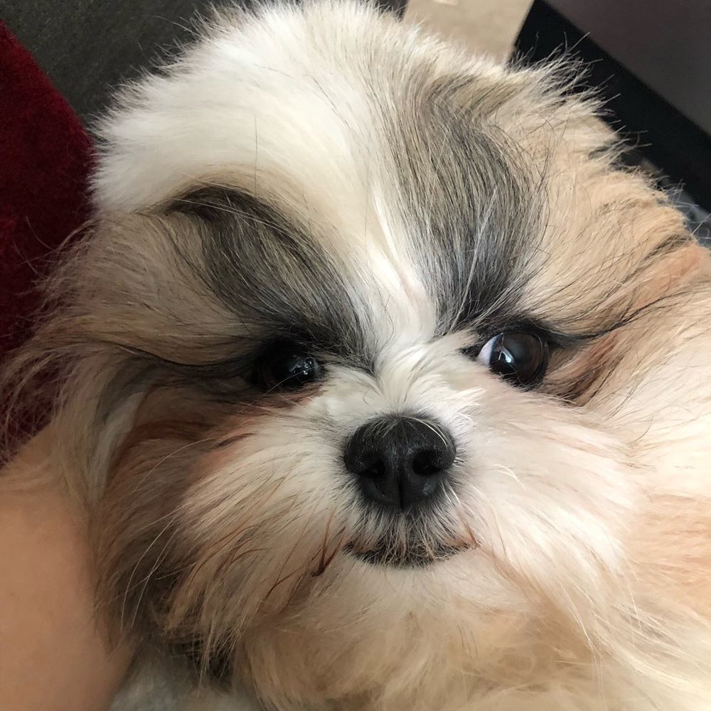 Meet your Posher, Jay